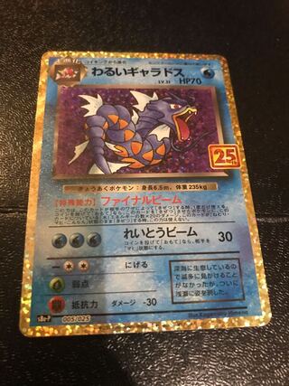 25th わるいギャラドス　ポケカ