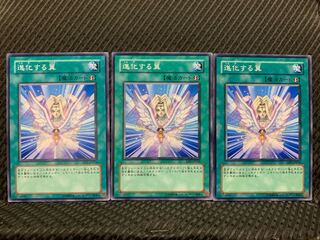 【ぽぽたん】遊戯王 7381 進化する翼 3枚 ノーマル