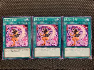 【ぽぽたん】遊戯王 5396 進化の奇跡 3枚 ノーマル