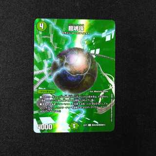 dragonfly nagi (species of nagi, Nageia nagi sometimes found in New Guinea)