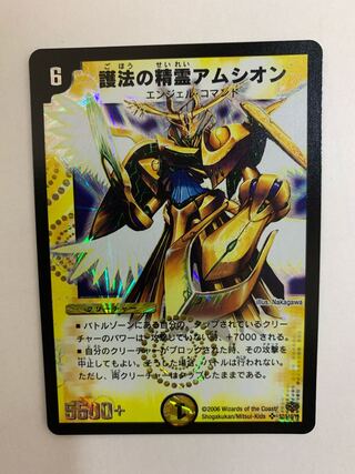 Spirit of Protection Amsion