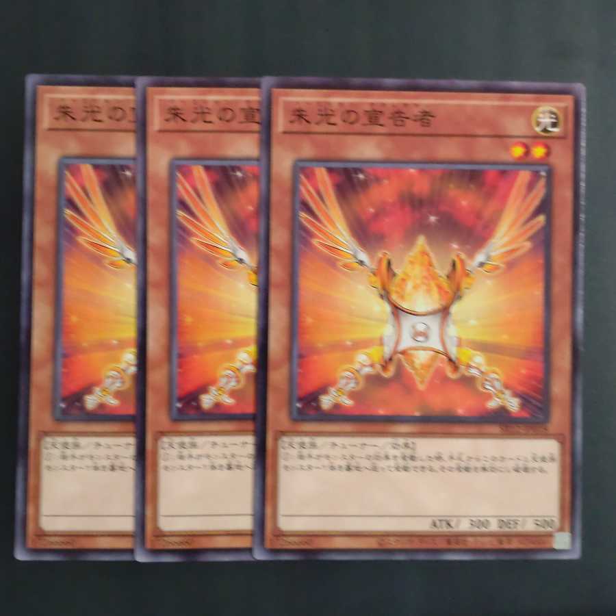 朱光の宣告者✕3 【木林堂】