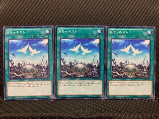 [Popotan] Yu-Gi-Oh! 6544 RR-Nest 3 pieces Normal