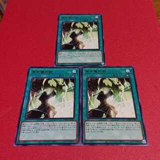 高尚儀式術 ３枚