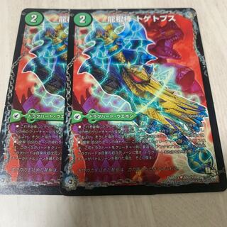 Dragon Cudgel Buttubu topps (Joltiformes: Polygona)