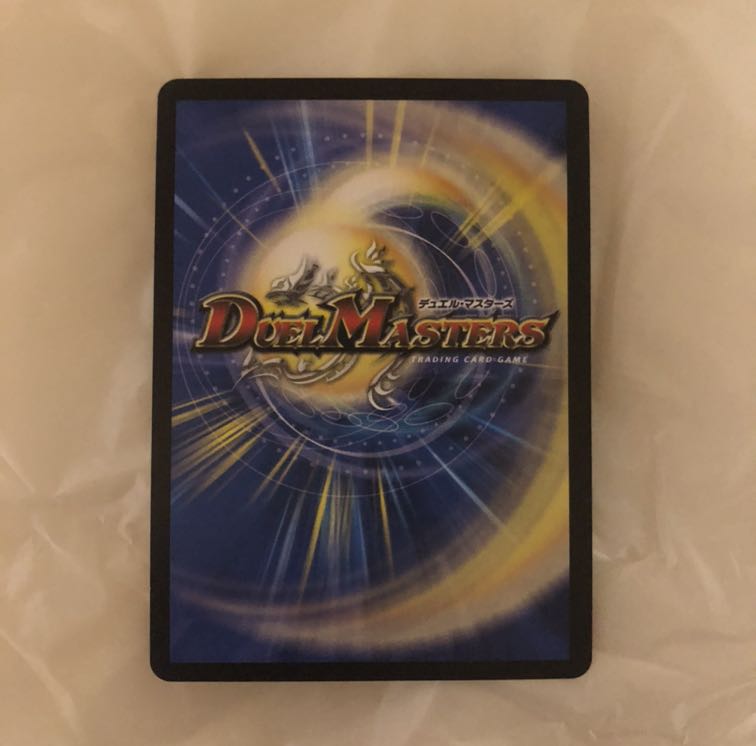 天命龍装 ホーリーエンド/ナウ・オア・ネバー