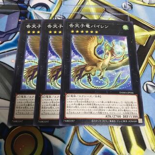 告天子竜パイレン ノーマル　Hulu 2893