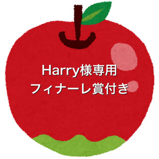 Harry様専用5口フィナーレ賞付き