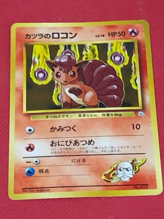 カツラのロコン