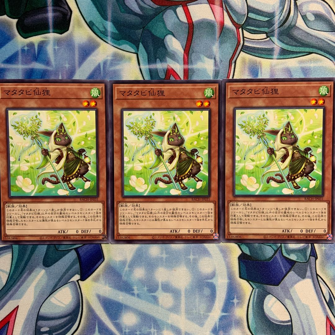 【N】マタタビ仙狸 3枚 BACH-JP031