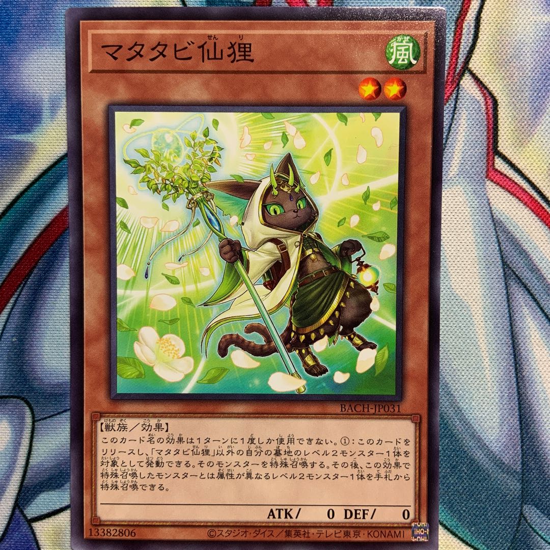 【N】マタタビ仙狸 3枚 BACH-JP031