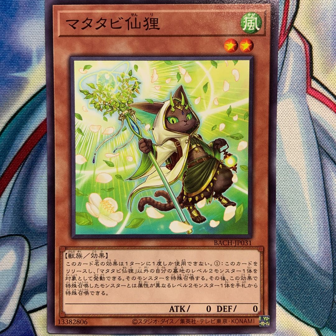 【N】マタタビ仙狸 3枚 BACH-JP031