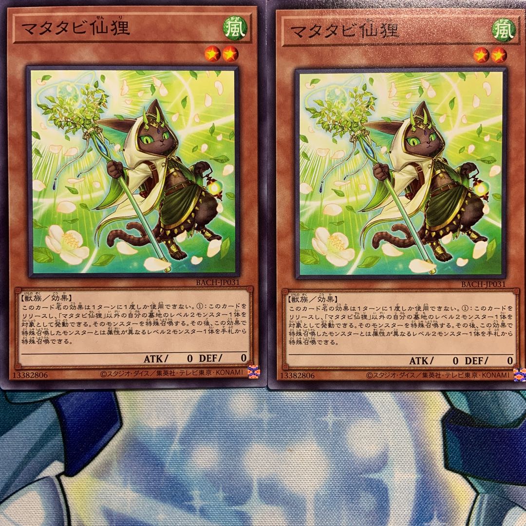 【N】マタタビ仙狸 2枚 BACH-JP031