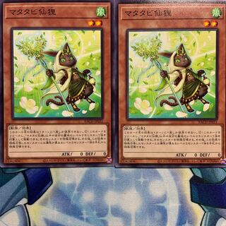 【N】マタタビ仙狸 2枚 BACH-JP031