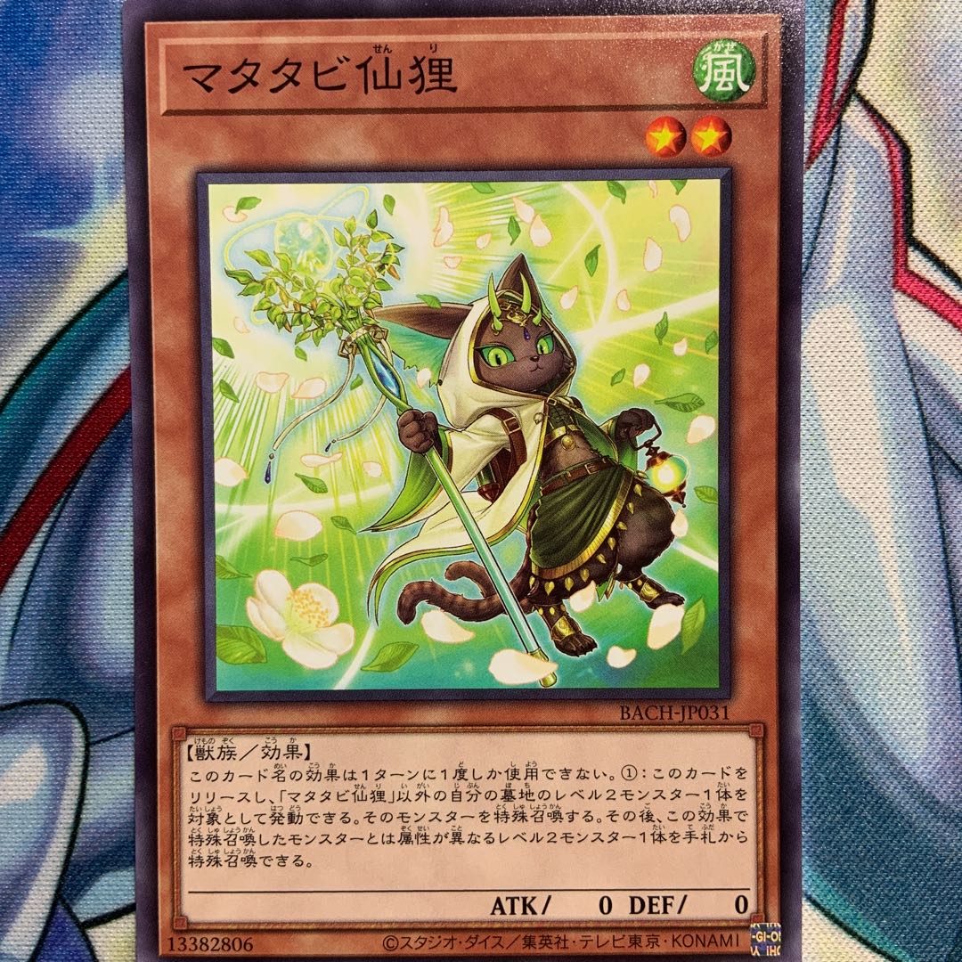 【N】マタタビ仙狸 2枚 BACH-JP031