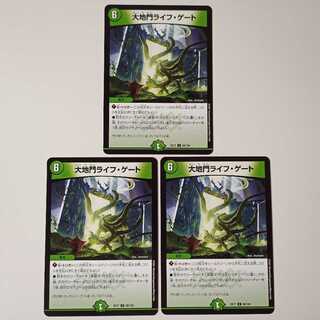 大地門ライフゲート 3枚 A199