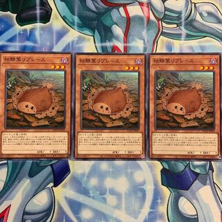 【N】枯鰈葉リプレース 3枚 BACH-JP029