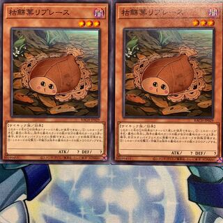 【N】枯鰈葉リプレース 2枚 BACH-JP029