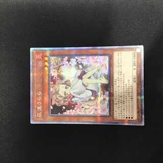 灰流うらら　イラスト違い（プリズマティックシークレット）