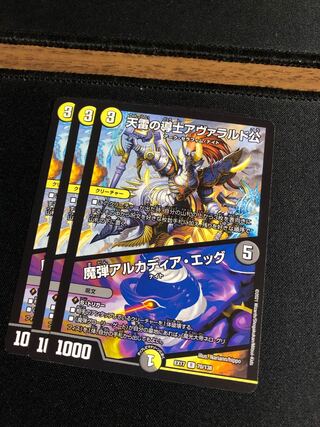 天雷の導士アヴァラルド公