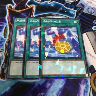 Medallion of the Ice Barrier Parallel Normal Hulu 2917