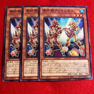 黄紡鮄デュオニギス☆3614