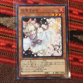 遊戯王OCG 灰流うらら ノーマル1枚 手札誘発