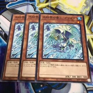 氷結界の番人 ブリズド ノーマル　Hulu 2920