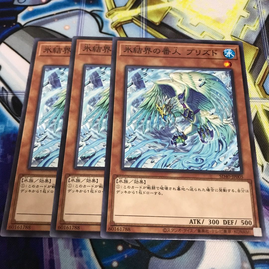 氷結界の番人 ブリズド ノーマル Hulu 2921