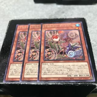 ふわんだりぃず×ろびーな レア3枚