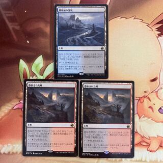 43723461様専用　難破船の湿地、憑依された峰　2枚