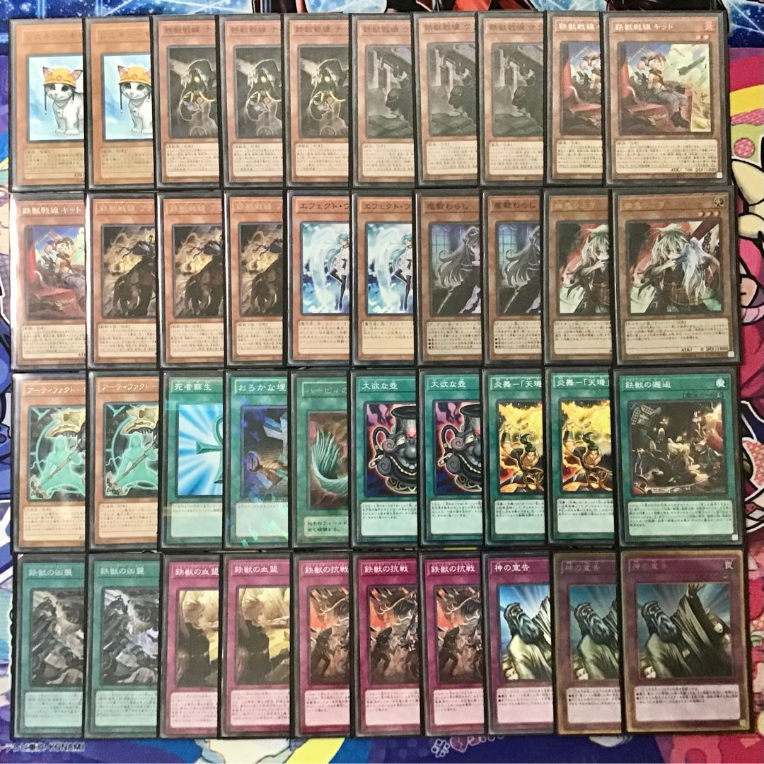 Full-scale construction [Iron Beast Battlefield] deck with 15 RosaN & EX cards and double sleeves
