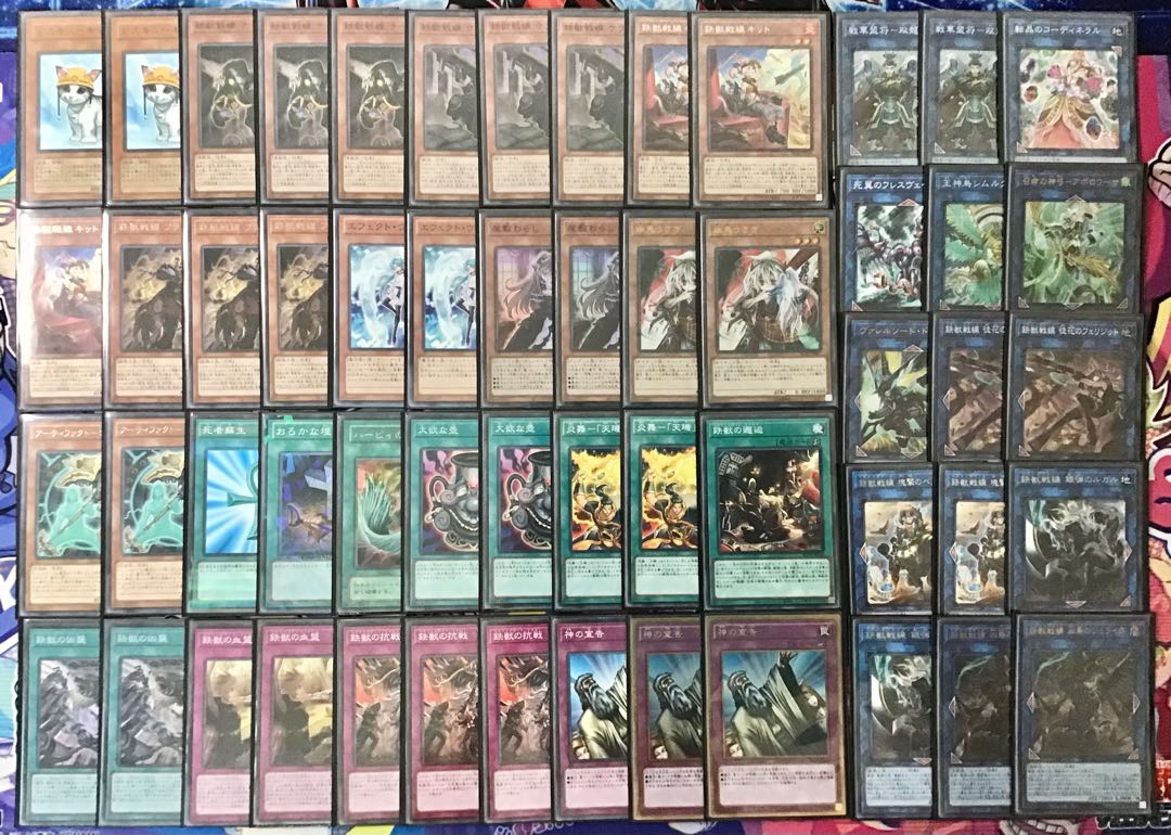 Full-scale construction [Iron Beast Battlefield] deck with 15 RosaN & EX cards and double sleeves