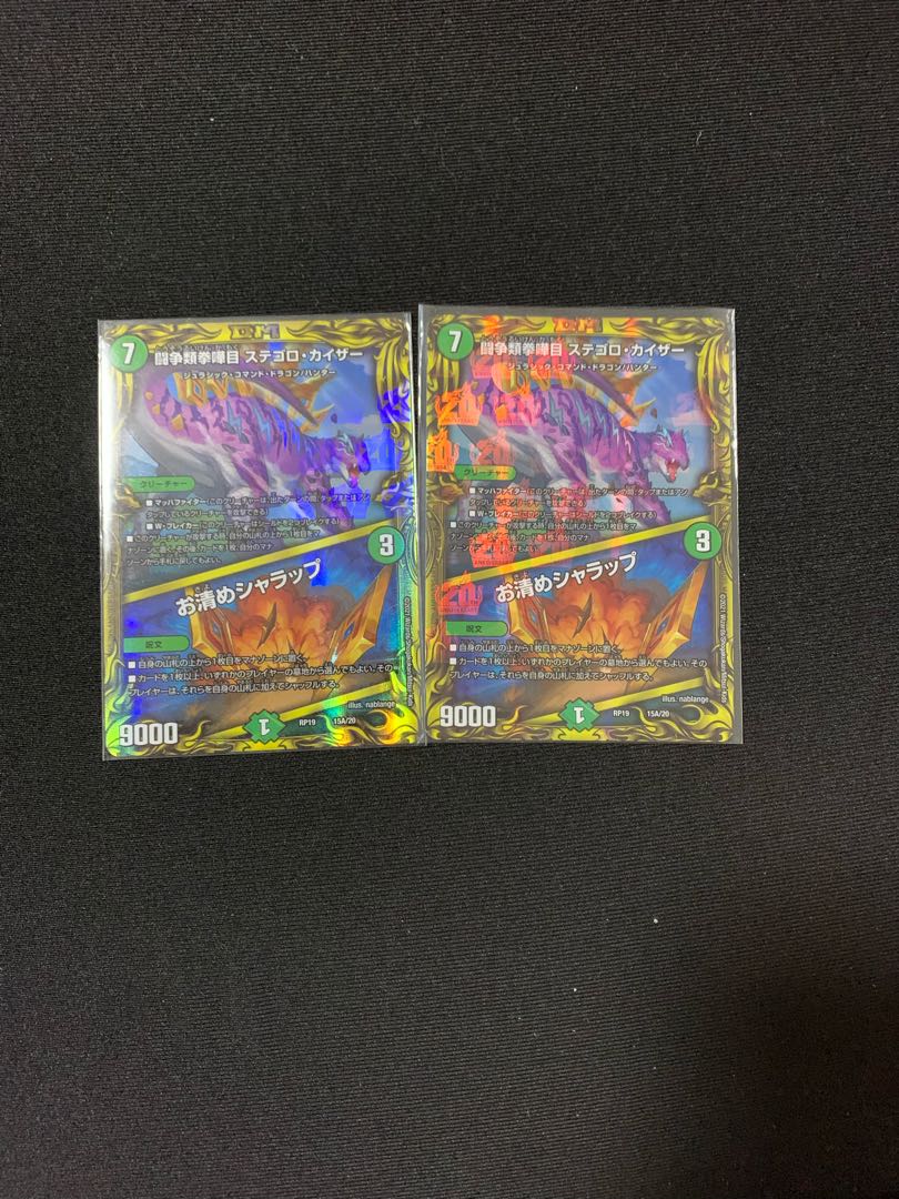 闘争類拳嘩目 ステゴロ・カイザー｜お清めシャラップ