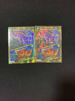 闘争類拳嘩目 ステゴロ・カイザー｜お清めシャラップ