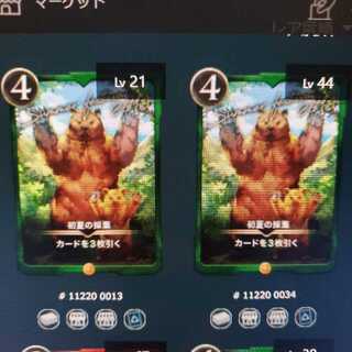 初夏の採集2枚セットです。