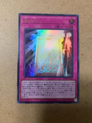 真の光 ウルトラレア