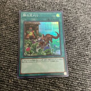 隣の芝刈り スーパーレア