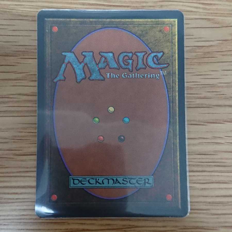 ライオンの瞳のダイアモンド 日本語