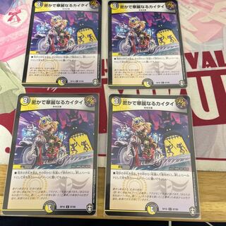 密かで華麗なるカイタイ C