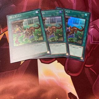 隣の芝刈り　56