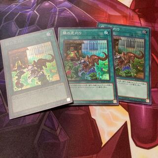 隣の芝刈り　78