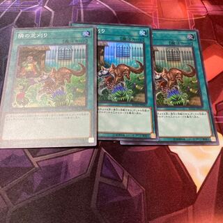 隣の芝刈り　89