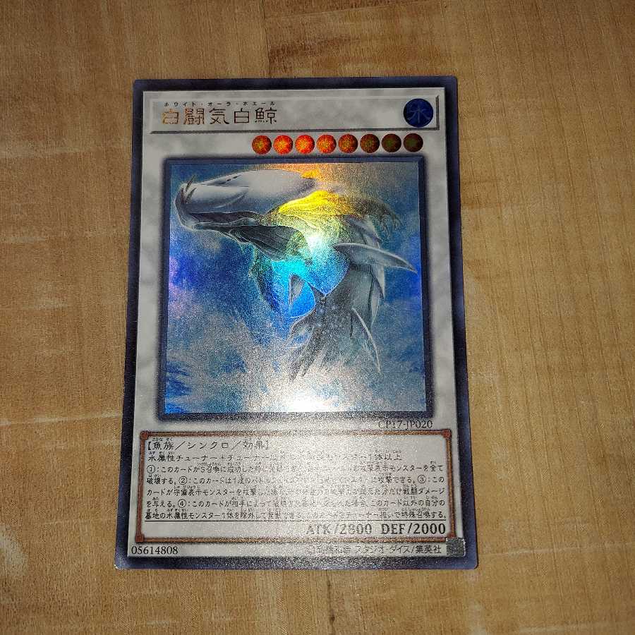 白闘気白鯨 ウルトラレア