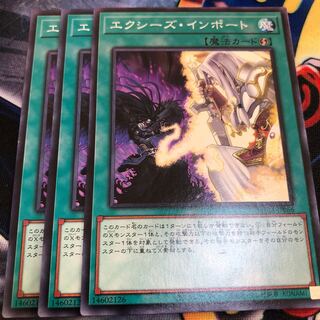 エクシーズ・インポート ノーマル