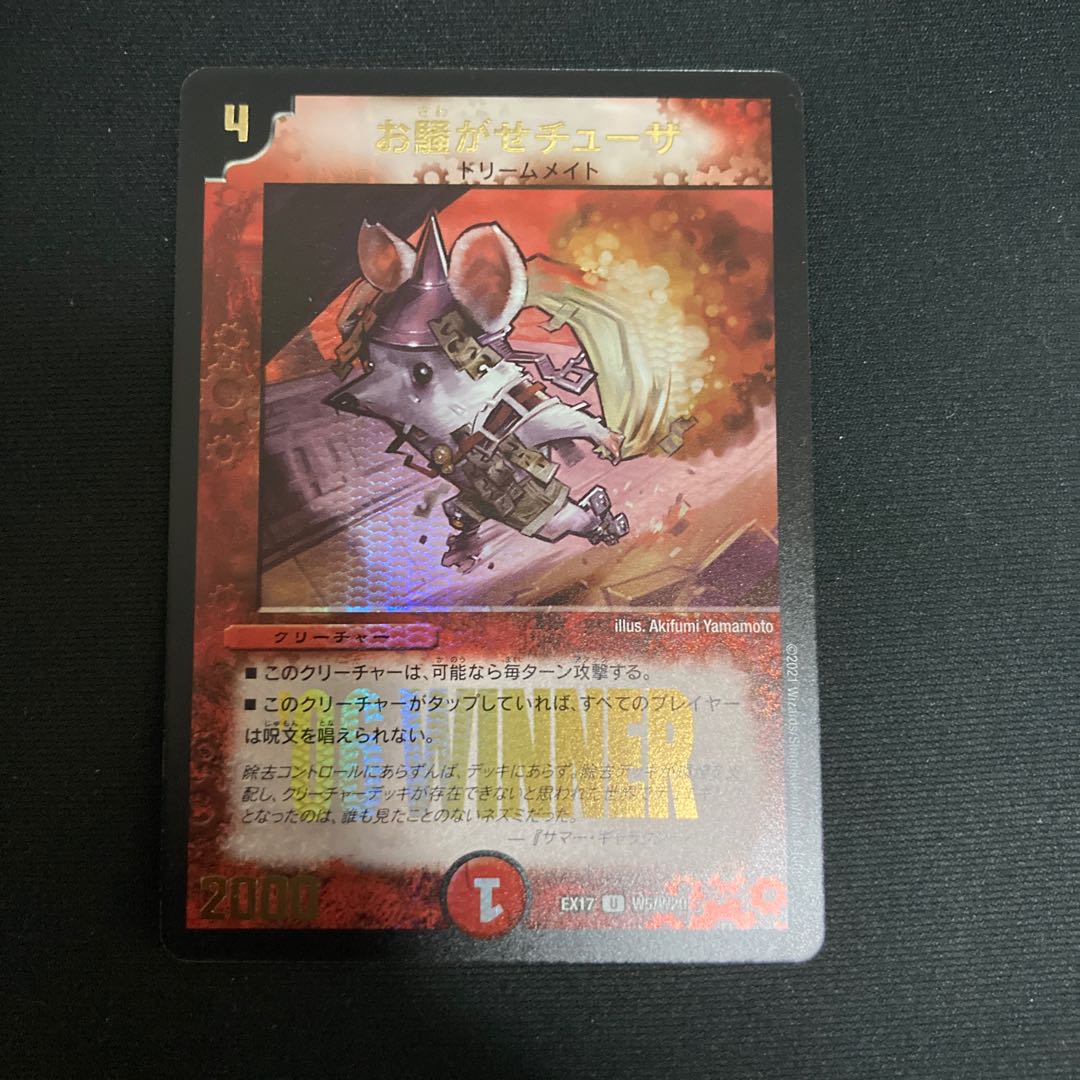 お騒がせチューザ winner