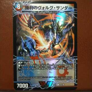 max558Set Discount Victory Volg Zapdos｜Lightning Beast Volg Tiger (Top)