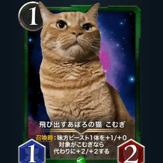 2枚セット 飛び出すあぽろの猫こむぎ