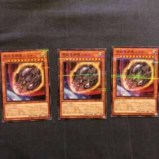 原始生命態ニビル