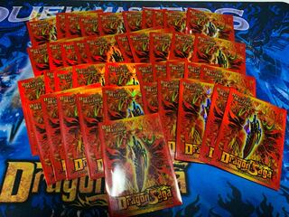 ドラゴンサーガ スリーブ